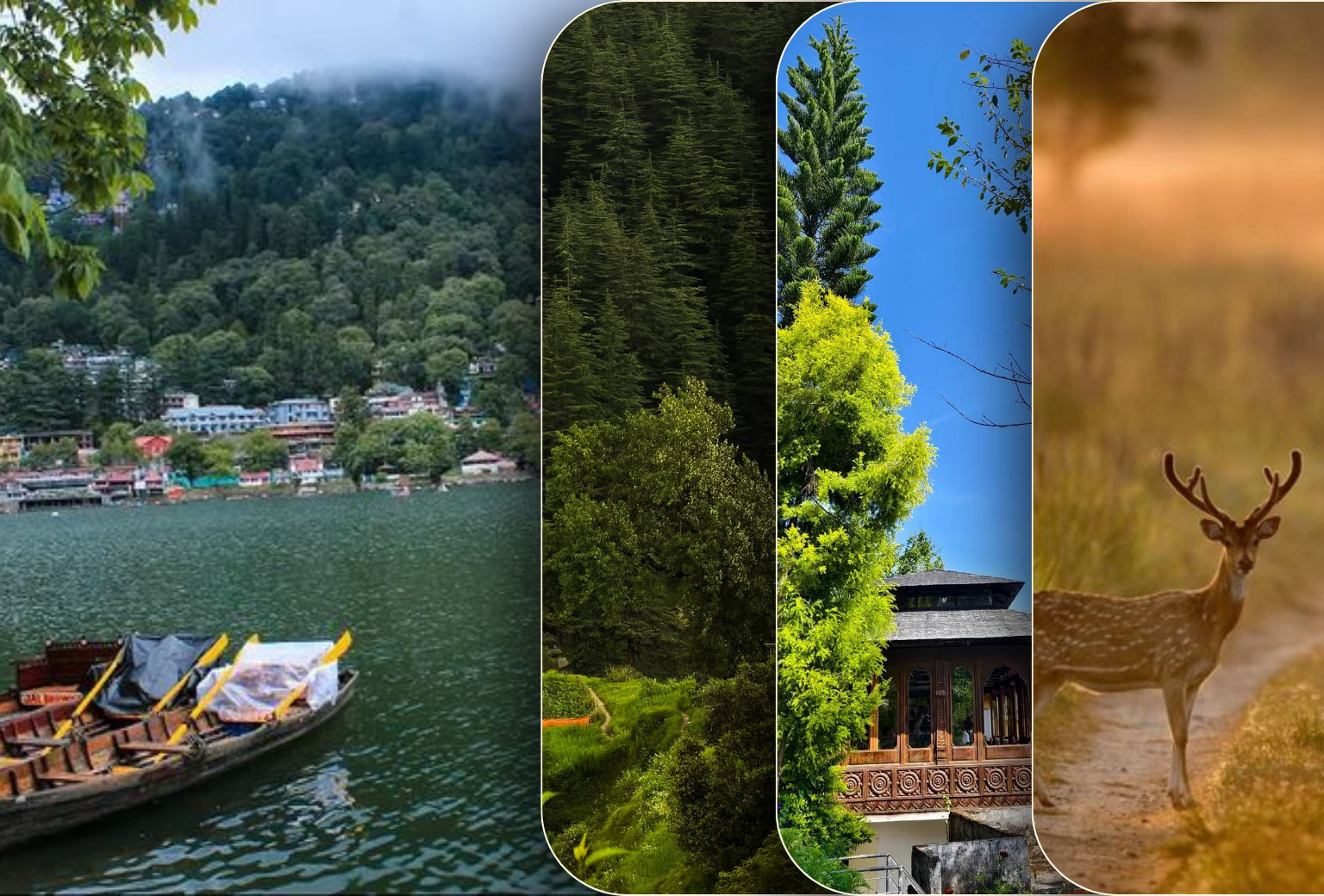 7 Days Explore Kumaon Tour – Nainital, Almora, Kausani & Corbett